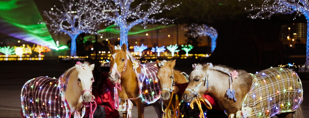 大井競馬場で冬季限定イルミネーション「東京メガイルミ2025-2026」開催 | 東京都 | トラベルjp 旅行ガイドの画像