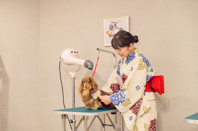 �֓����o�X�I�u��]�ˉ��򕨌����񃊃]�[�g �ߐ{�����v2026�N3���I�[�v��