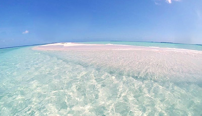 i؍݂Ȃ!?fBủBꂽyuEO[t@[[v