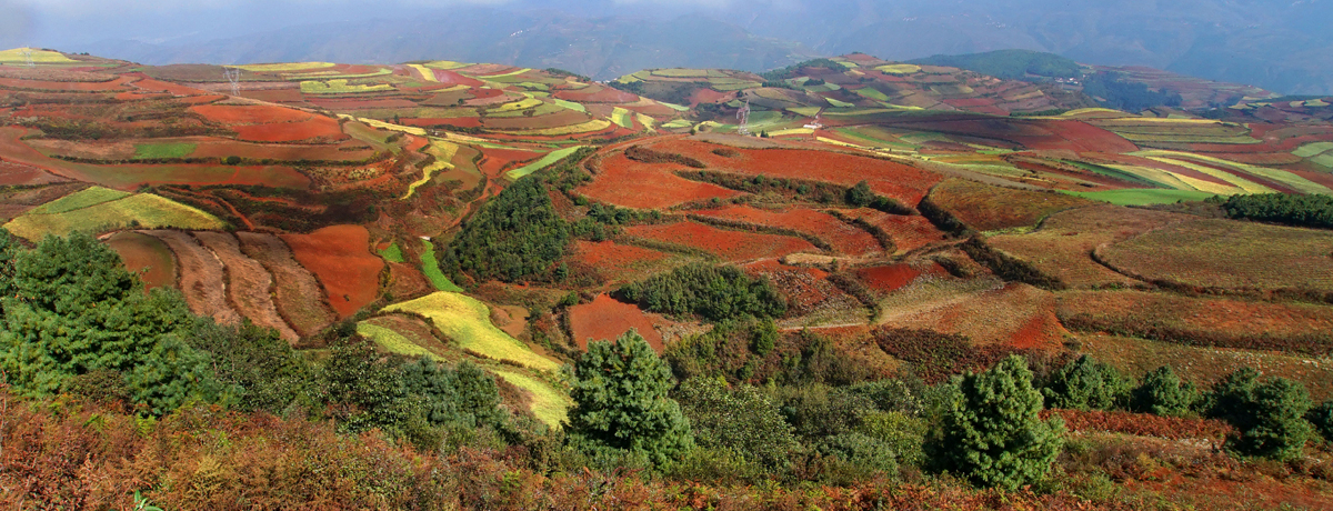 ܂œṼpbgI_Ȃ̉Bꂽ鋫ugynv