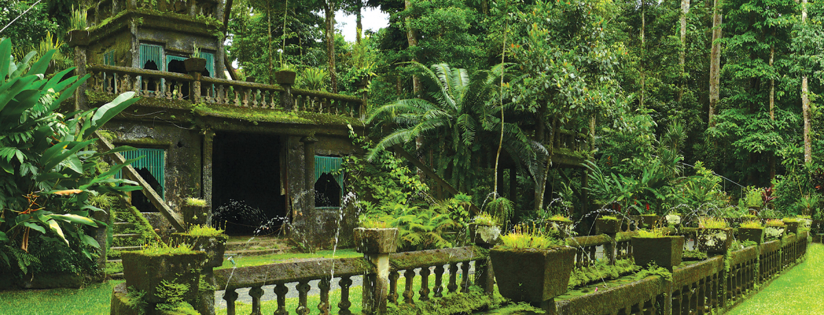 ���N�����������I�P�A���Y�x�O�u�p���l���p�[�N�v�͌����ڂ��z�����W�u�����\���h