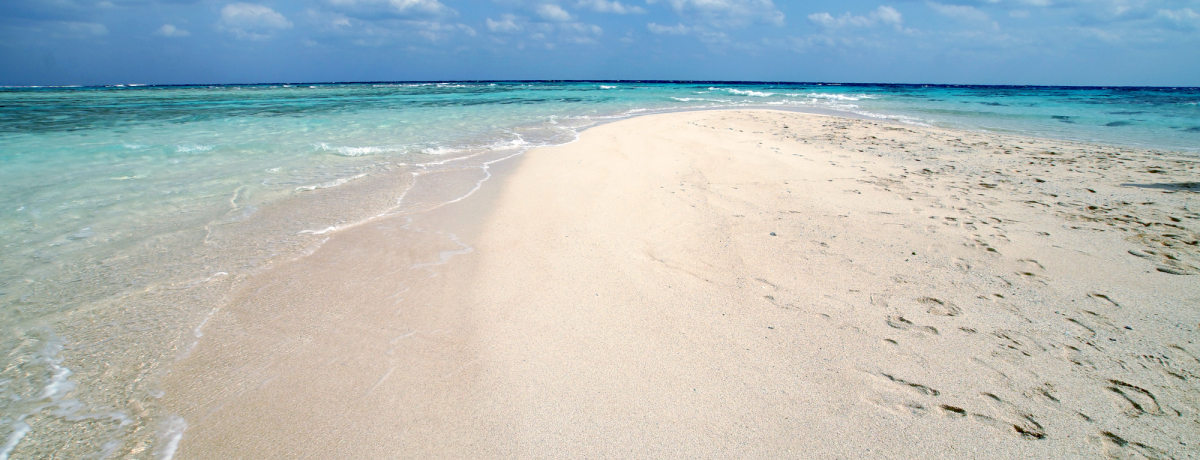 �~�ł���Ղ͋N����H�I����̗^�_���E���́u�S�����l�v��