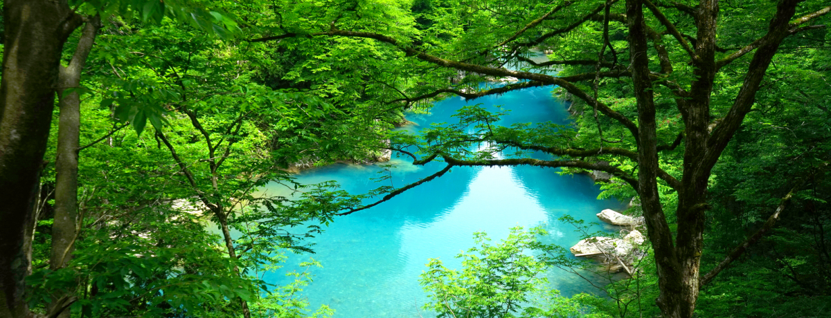 Ăɂ͓VRN[[IHcuԂkJvŗnCLO