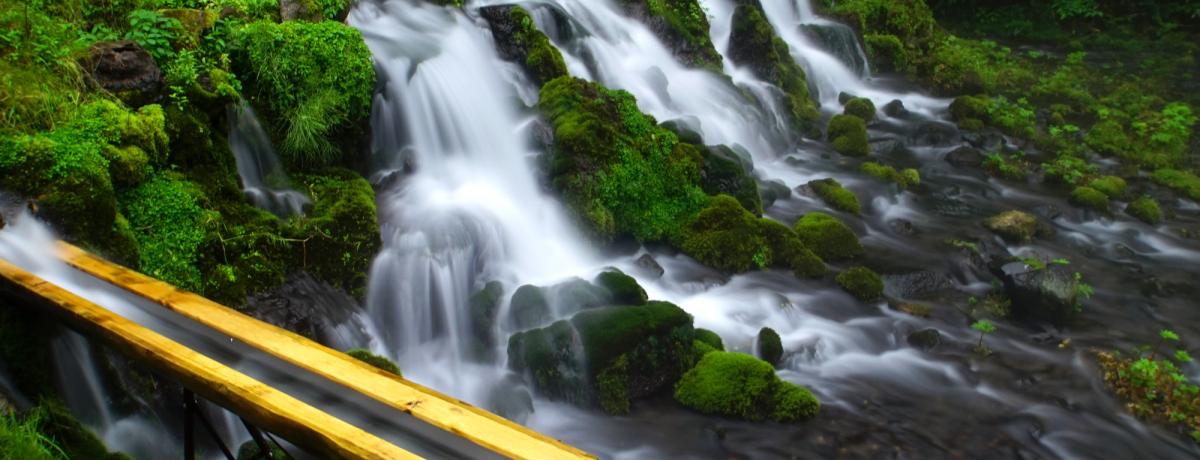 �������A�ɓV�R�~�X�g�I�u�ӂ����������v�͖k�C�����₵�̃p���[�X�|�b�g