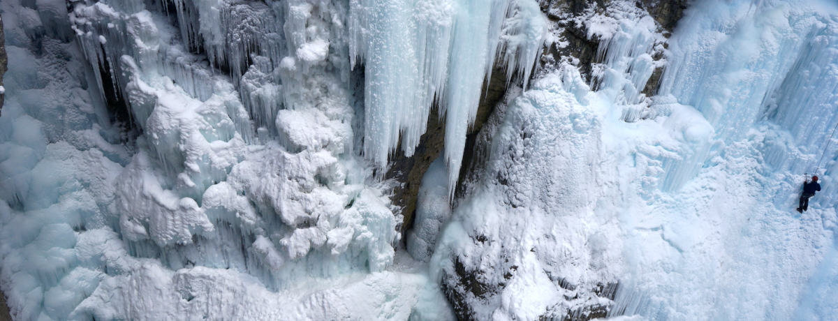 ͓VR̃ACXLbXIJi_Eot̐iWXgkJ