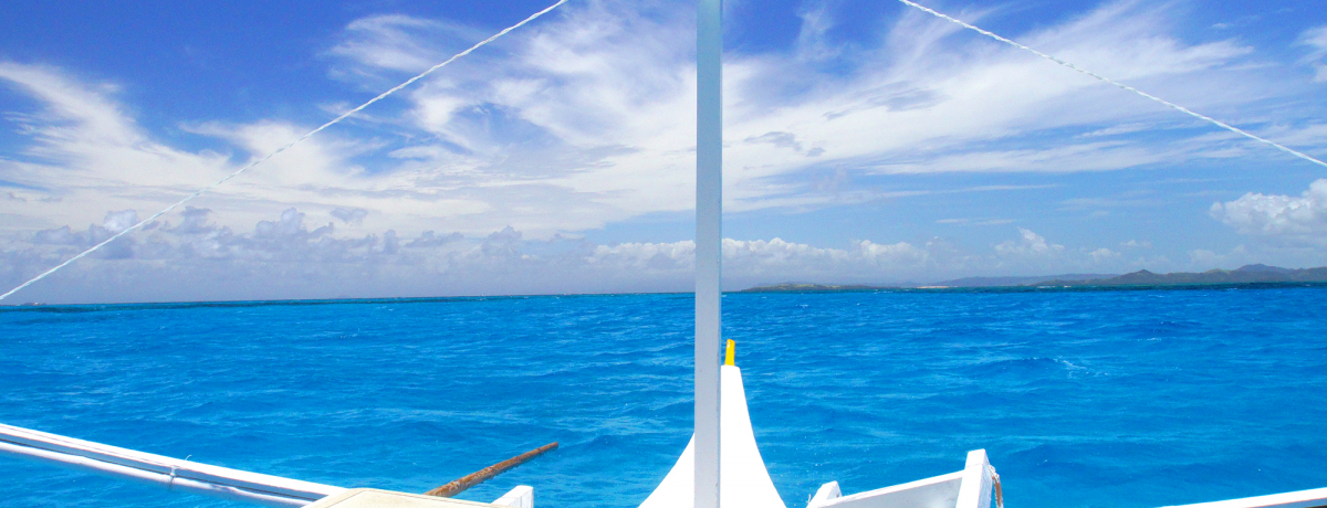 Ă̊C̐ItBsEVAKIŐiAChzbsO