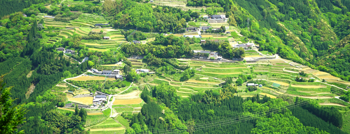 {̔鋫ɐl̒IcIuŗtv͕Ɨl`̉Bꗢ