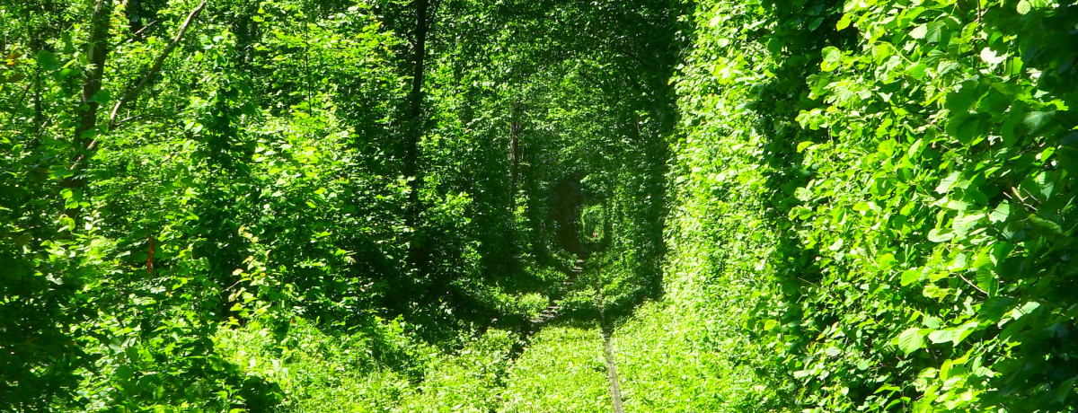 �E�N���C�i�̐�i�u���̃g���l���v�`�΂ɕ�܂ꂽ���l�����̐��n