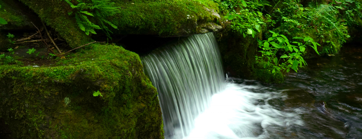 �N�[���[�v�炸�̐������I���쒬�̖����u��ሮ�x�����v