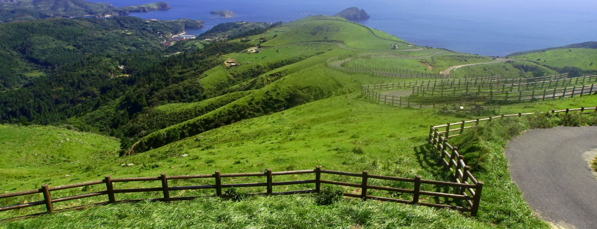 �B��̖��͂��܂邲�Ɗy���߂��i�p�m���}�W�]��߂���