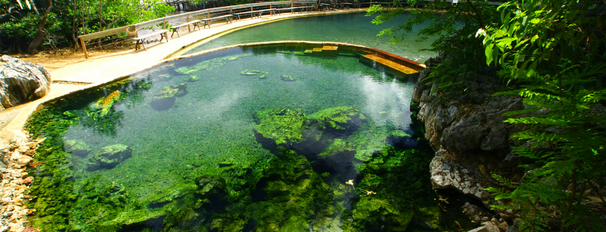 CȂItBs̔鋫R̂ߊόX|bg