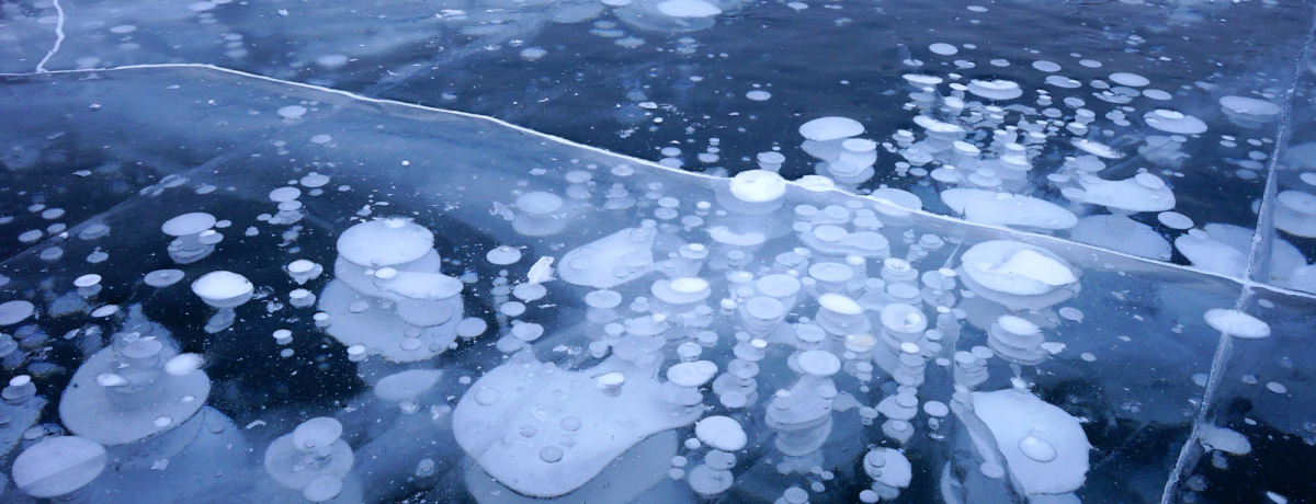 �A�C�X�o�u���Ɍ��̋��I�k�C���f���΂Ŗ��키�_��̘A��