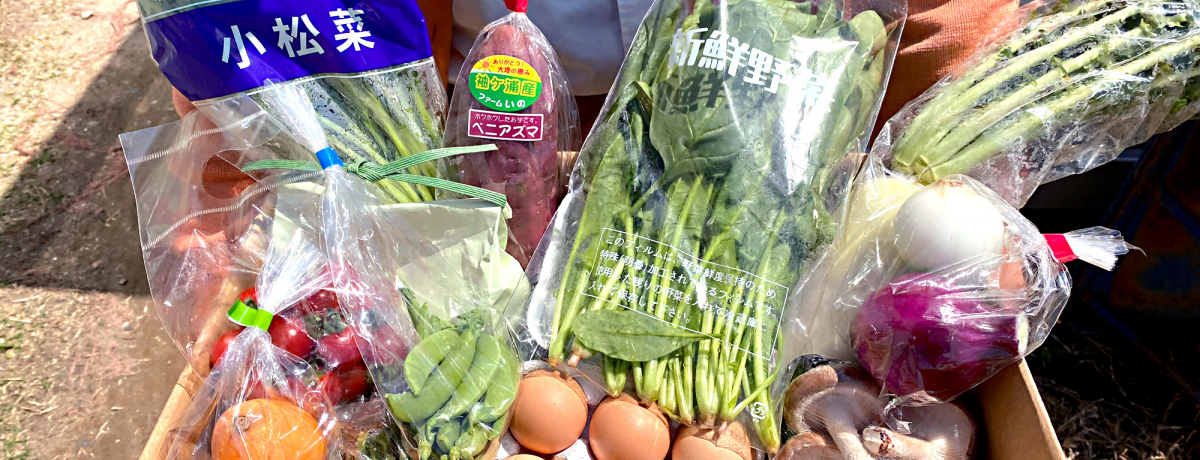 ibc̗ŃhCuX[Ỉwu؍XÂ܂̗v