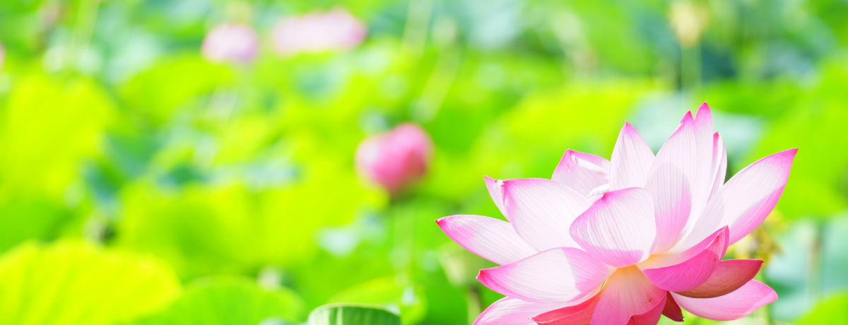 ԌtɊ肢߂ ʍscuÑ@̗vƓcڃA[g