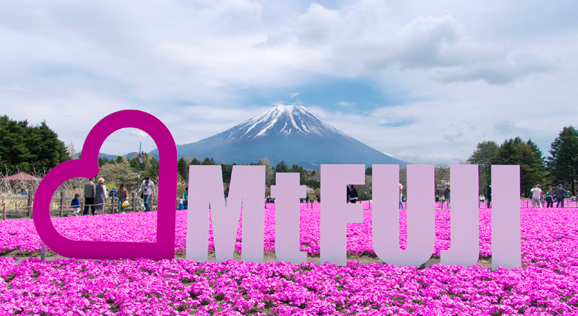 �x�m�R�[���s���N�ɐ��܂�I�t�̍ՓT�u�x�m�ō��܂�v�ŏt�F��i�����