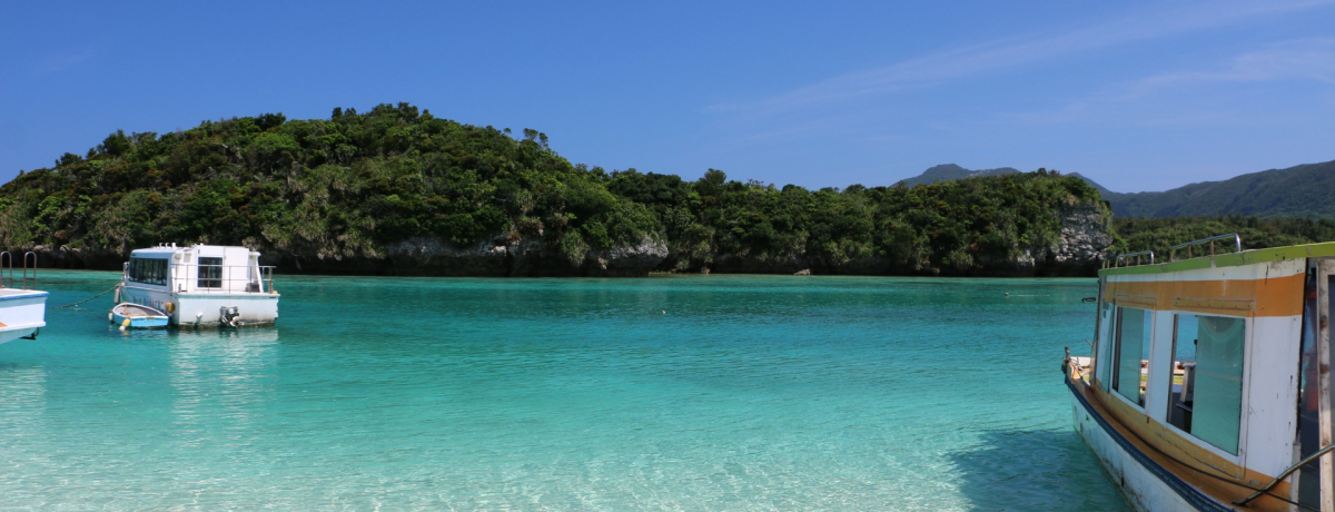 ���ꗷ�s�̗\�Z��O�����I���g�N�ȗ��̑I�ѕ��̓R���I