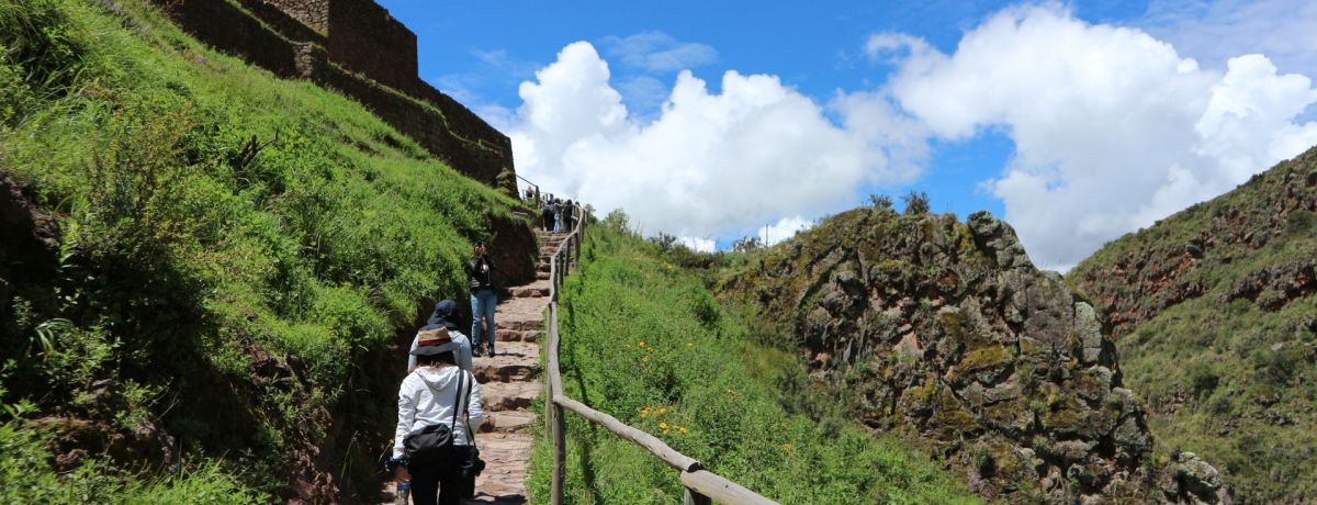 �C�O���s�œY������s�c�A�[��I�ԃ����b�g�ƃf�����b�g