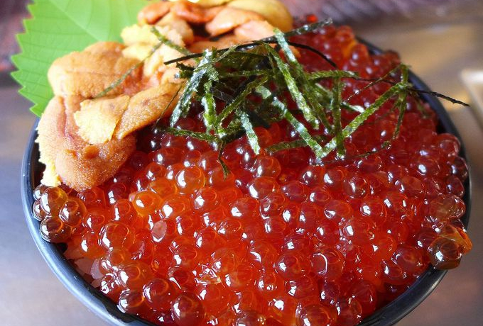 �k�C�������c�A�[�̊��p�@�`�{��̃O�����E��i�Ɖ�������\����`