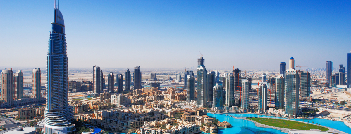 �����s��ЃX�^�b�t��������h�o�C�c�A�[�̑I�ѕ� �`�|�C���g���ڂ�������`