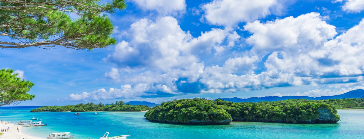 ���ꗷ�s�͉����Ԃ���Ίy���߂�H�������ߔ������Љ�