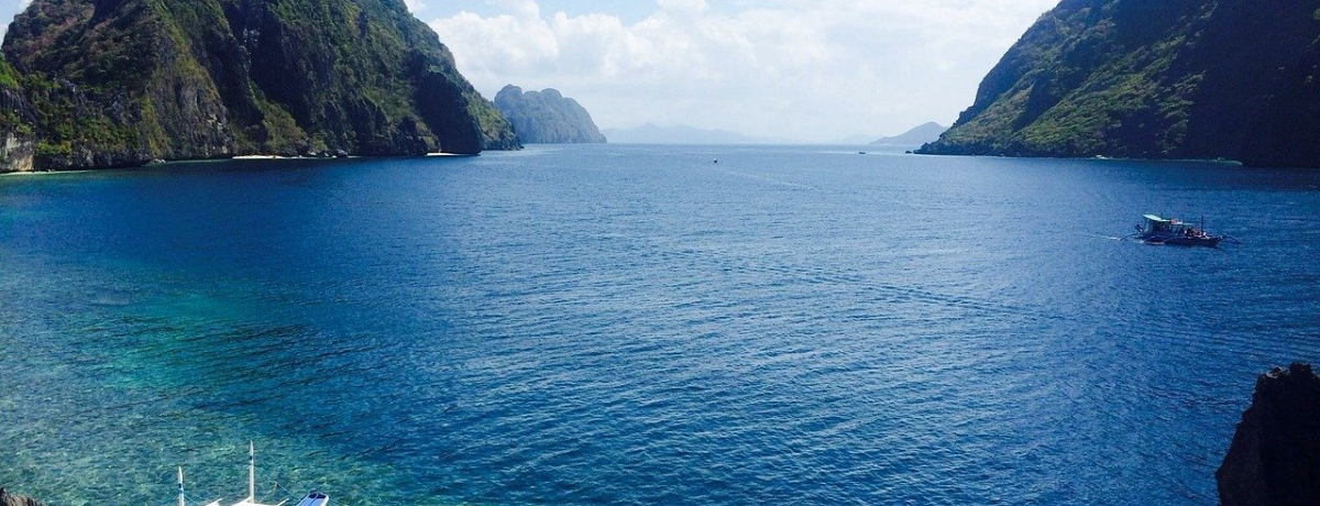 �A�C�����h�z�b�s���O���ĉ��H�y���ݕ��Ɨ\����@�������