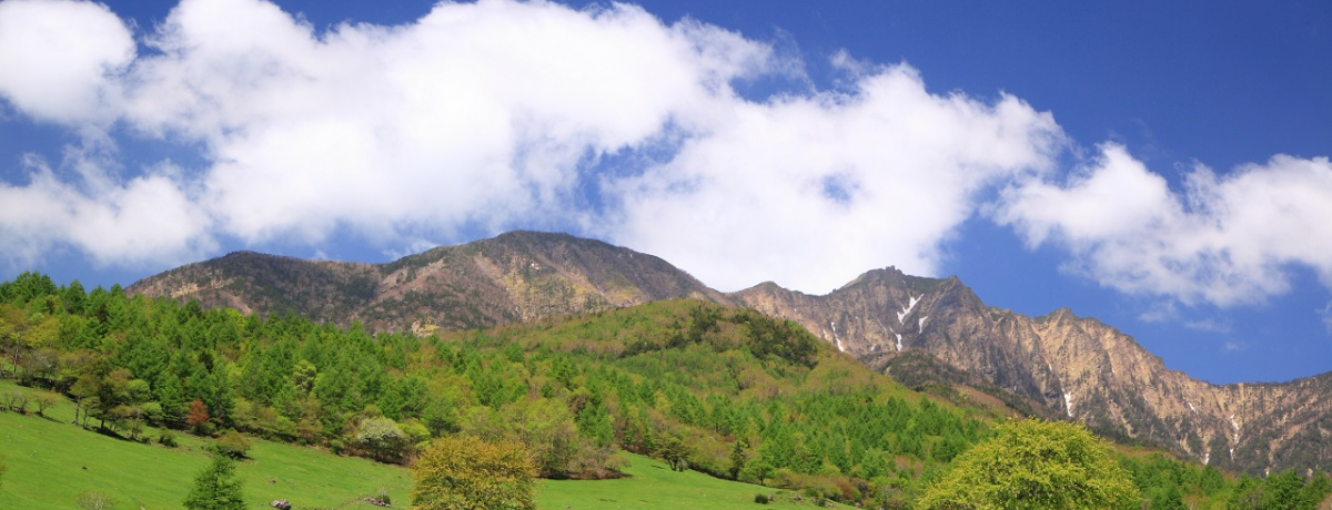 ���������ɍs���Ȃ牽���K�v�H�������ߓ����E�߂��������Љ�