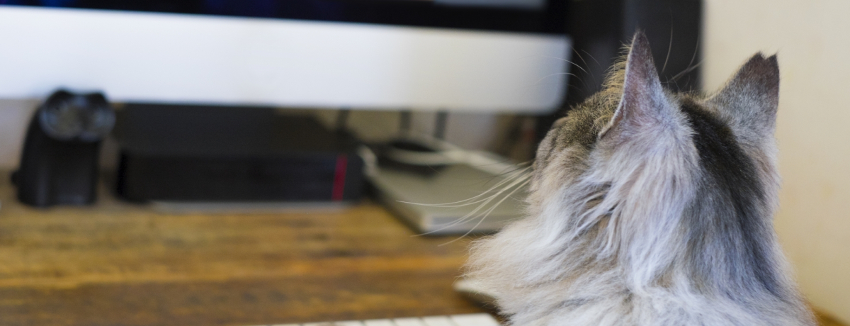 �I�����C���c�A�[���ĉ��H�Q�����@�́H��p�͂�����H