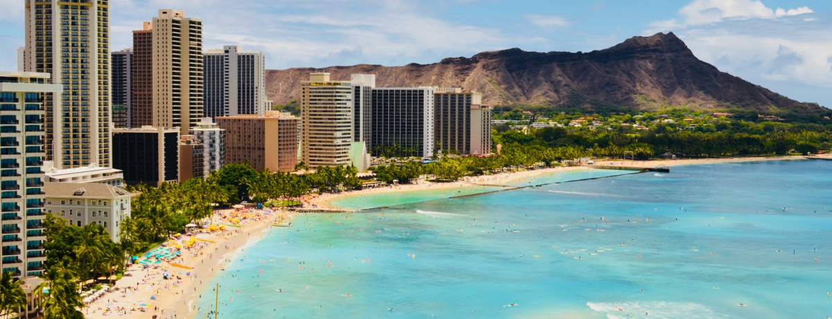 �n���C�̗��ւ͂����������I�؍݂ɕK�v�Ȍ����͂�����H