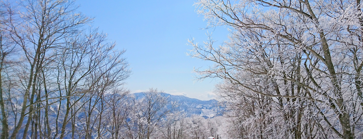 ���ꂪ�ߖ�ɂȂ�I���A��X�L�[�E�X�m�{�Ɋi���ōs��5�̕��@