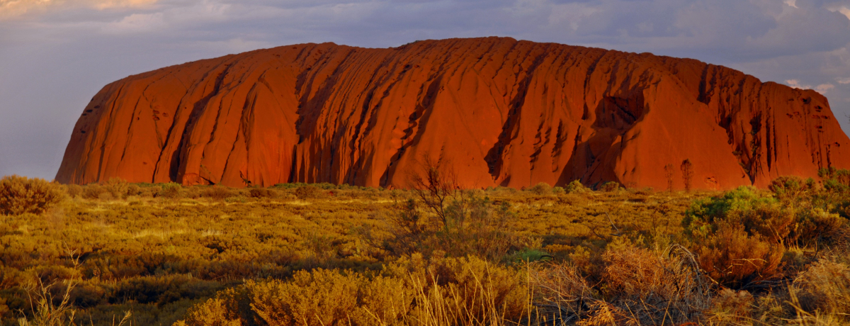 �ݏZ�҂�������I�I�[�X�g�����A�c�A�[�̑I�ѕ��@�`�G���A�ʂɏڂ�������`