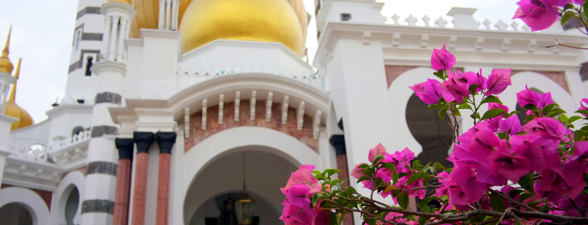 �}���[�V�A���s�̎������E���I���X�g�I�K���i��֗��O�b�Y�ȂǓO����