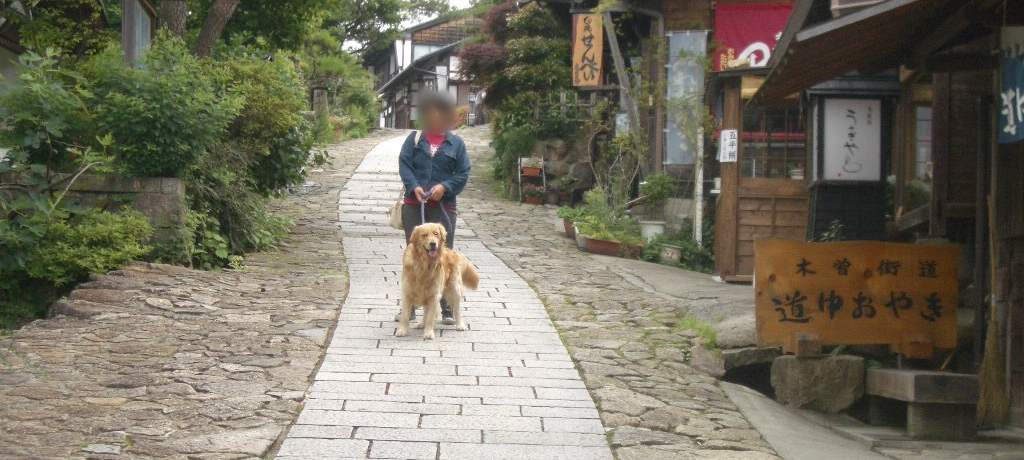 �y�b�g�Ɨ��E�S�������߃X�|�b�g�I�Ԑ����΍�ƕ֗��O�b�Y�����Y��Ȃ�