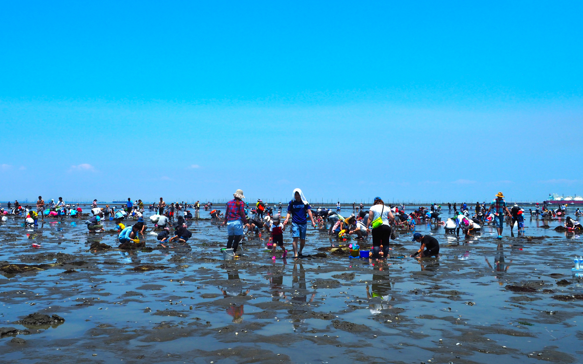 人気沸騰中！潮干狩りとランチで楽しむ千葉・富津海岸の1日 | 千葉県