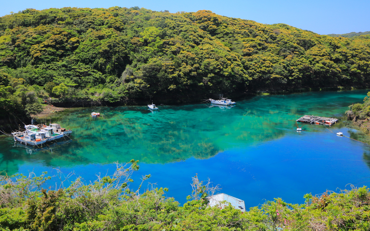 RM466 銘仙 まとめて 5枚　表地綺麗 上五島「桐集落」が美しい！森に包まれるエメラルドグリーンの入り江