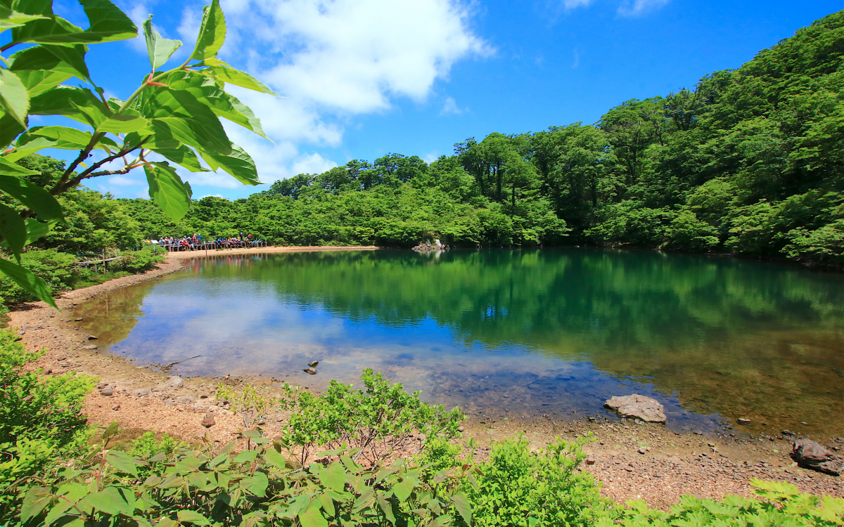 ニッコウキスゲの別天地！岐阜の秘境「夜叉ヶ池」ハイキング | 岐阜県