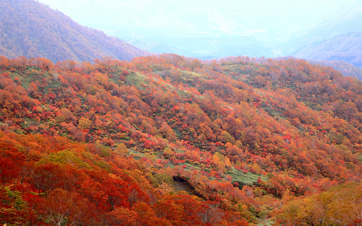 知られざる絶景紅葉の山！岐阜「銚子ヶ峰」ハイキング | 岐阜県