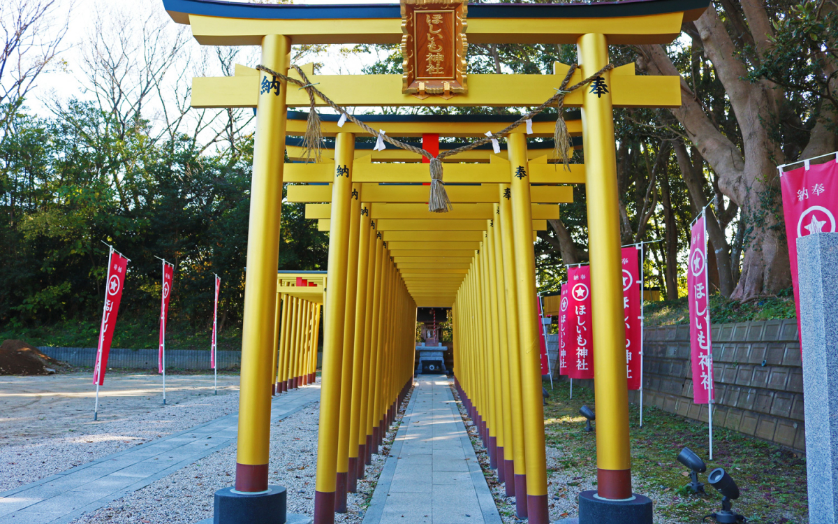 黄金色の鳥居！茨城「ほしいも神社」でホシイモノが手に入る！ | 茨城
