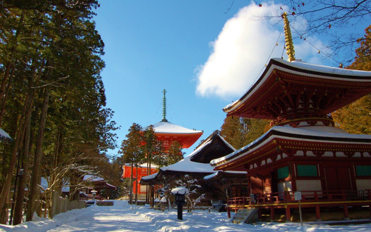高野山マニア必見！雪の奥の院を知らずして高野山を語るなかれ