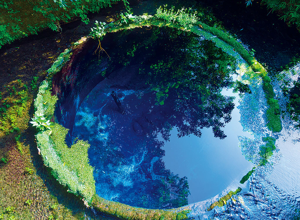 神秘のブルーホール！静岡「柿田川公園」で所要時間60分の絶景旅