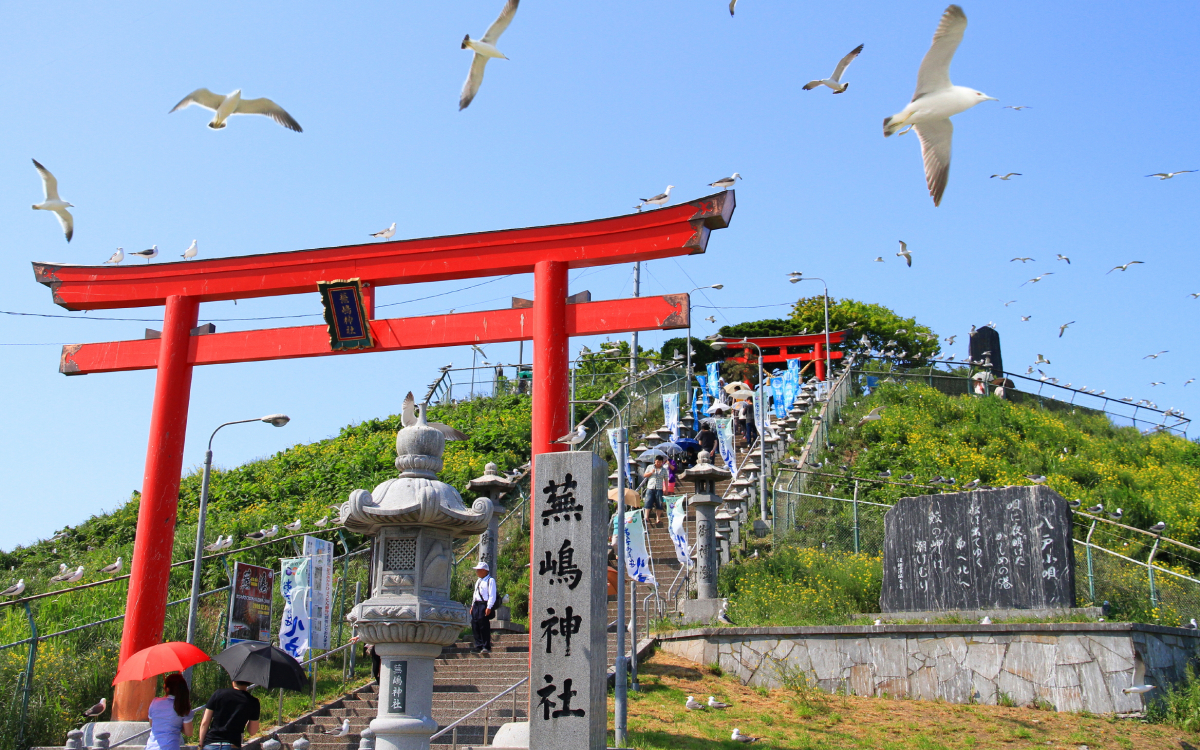空から「運」が降ってくるウミネコ舞う八戸市 蕪島神社 | 青森県