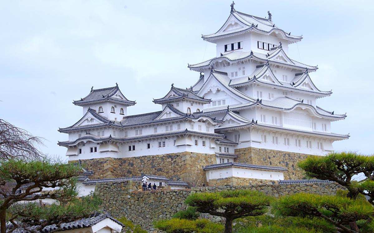 ☘️早い者勝ち☘️【国宝品】●国指定重要無形文化財●【本結城】●地機●120亀甲 国宝の松江城天守、大規模改修へ 27年度から3年間、14億円（共同