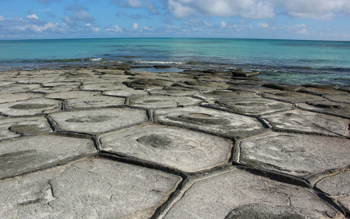 一面が亀の甲羅!?久米島「畳石」で出会う自然の造形美 | 沖縄県