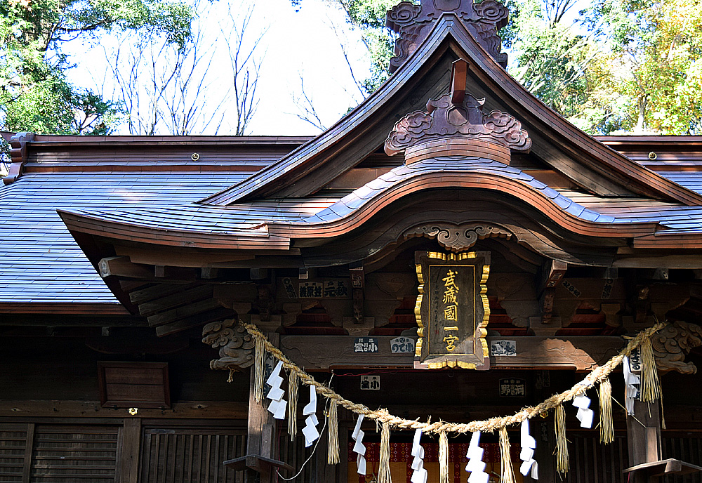 埼玉一ノ宮は3つある！龍神が結ぶ氷川神社「ご来光の道」 | 埼玉県