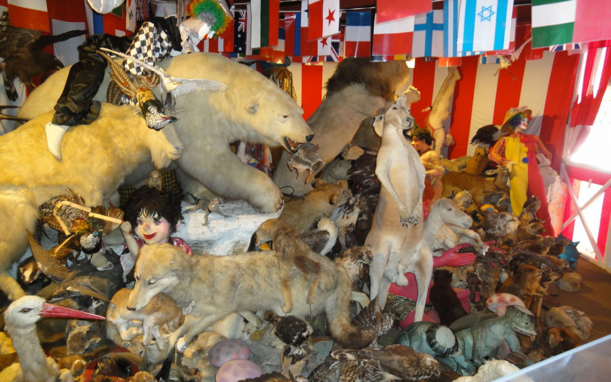 伊豆にやたらと密集している変わった博物館5選 | 静岡県 | トラベルjp