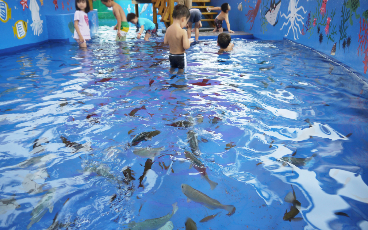 越前 松島 水族館