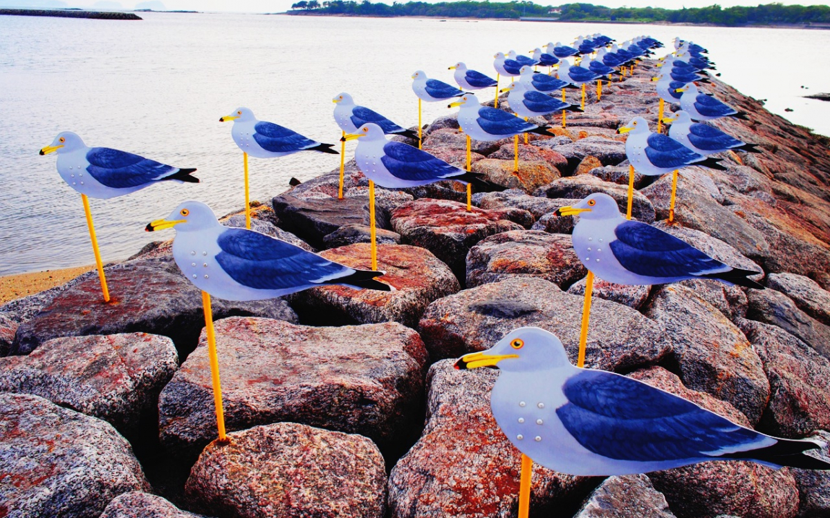 映画「名探偵コナン」にも登場！三河湾のアートな島・佐久島 | 愛知県