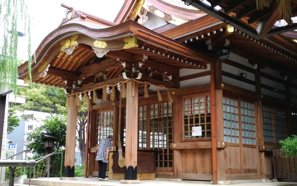 公の場での発言・インタビュー報道記録