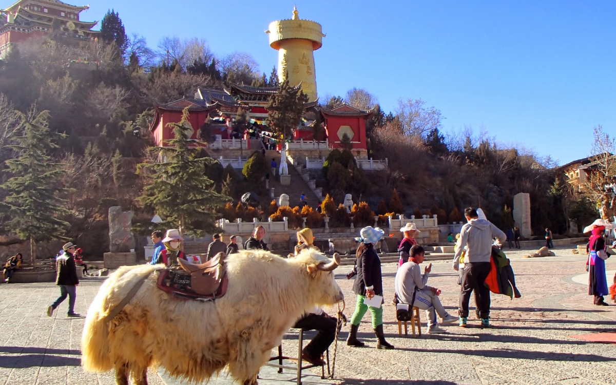 地上の楽園「シャングリラ」チベット文化が香る旧市街を訪ねて | 中国