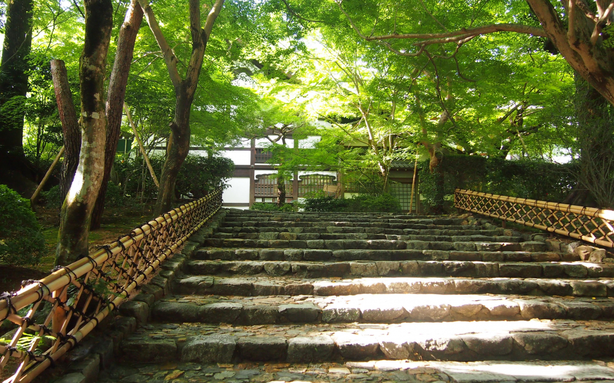 京都夏の「龍安寺」で爽やか水景色と緑の光景を堪能しよう！ | 京都府