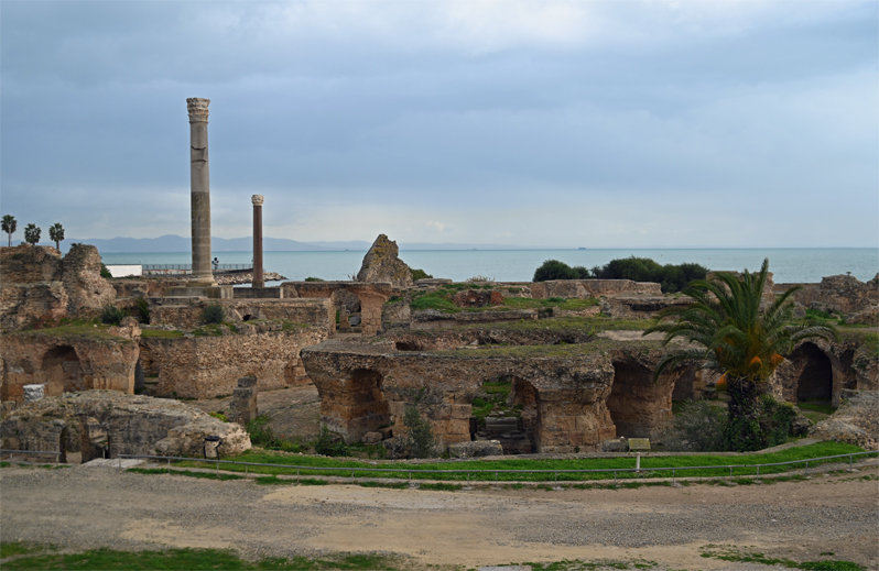 チュニジアで必見！古代遺跡のカルタゴと白壁青扉のシティブサイドを
